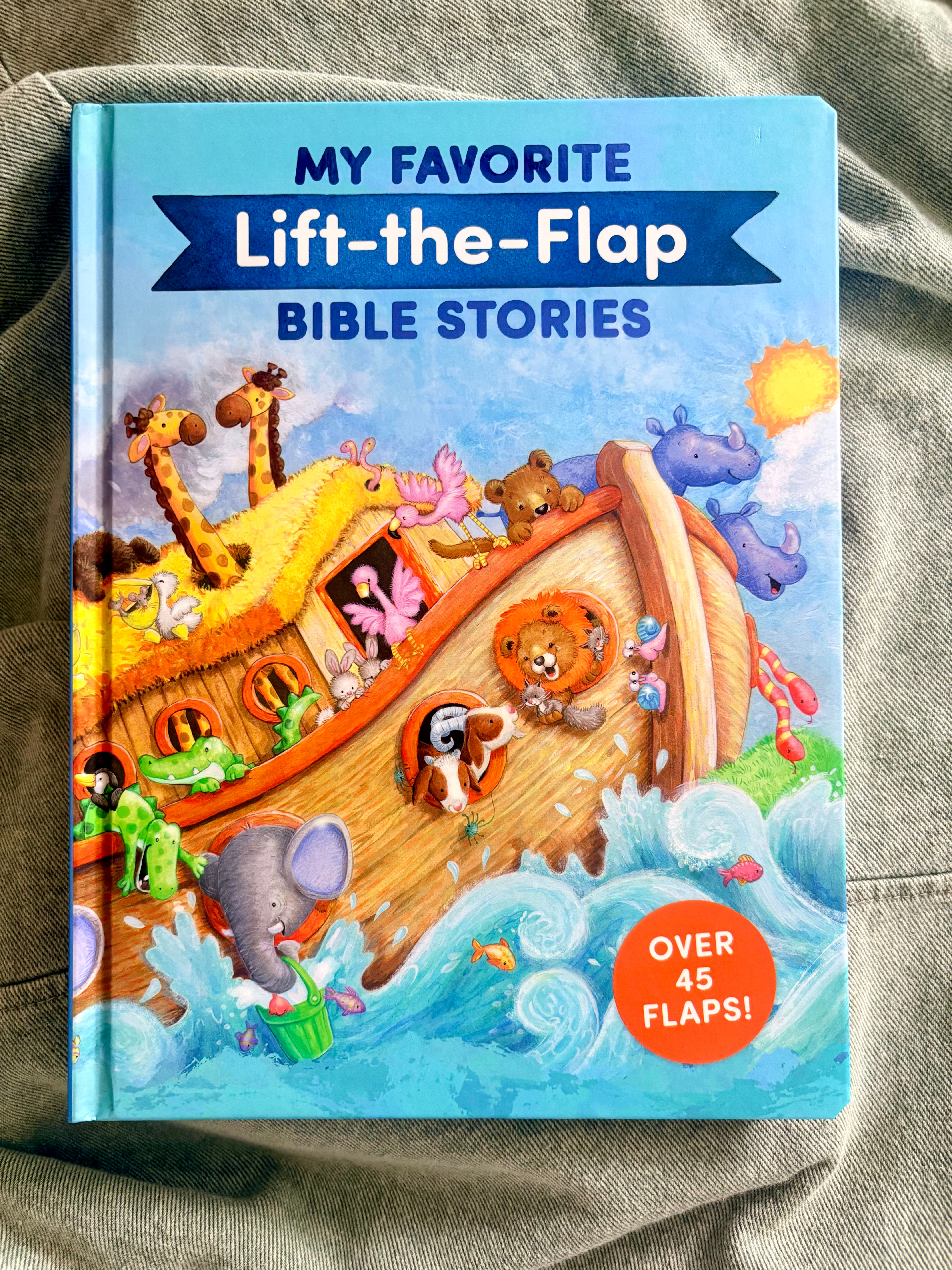 Bible Story Flip Book