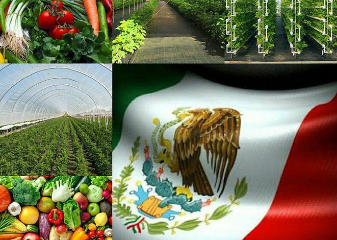 AGROINDUSTRIAS.Y.ENERGIAS.ALTERNAS465.jp