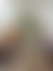 What Are the 4 Pillars of Addiction Recovery?