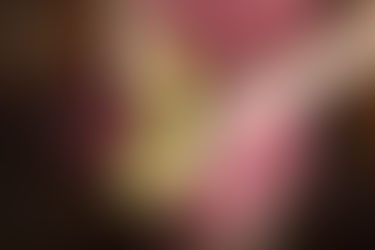 Keto Diet Part 1 - Where does it come from?