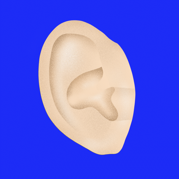 Oreille_Externe.gif