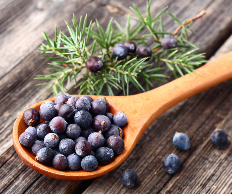 Wacholderbeeren