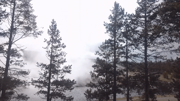 roundedsound.gif