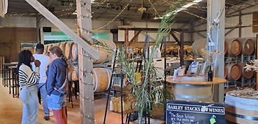 Uncle Kim’s Tours_edited