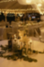 BR Photography-7822-2