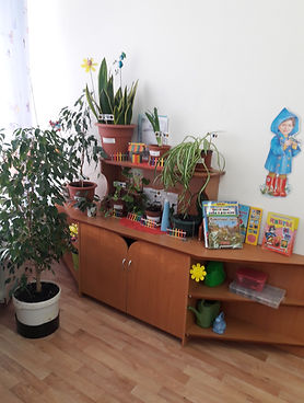 20190314_073642.jpg