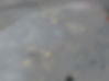 T6-Zone-Core-Photo-2-Visible-Gold.jpg