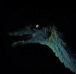 dilong_night_test_Moment.jpg