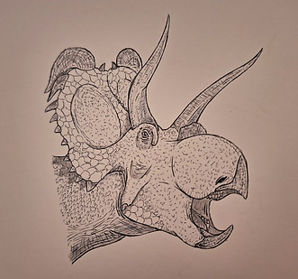 20230630_202009.jpg