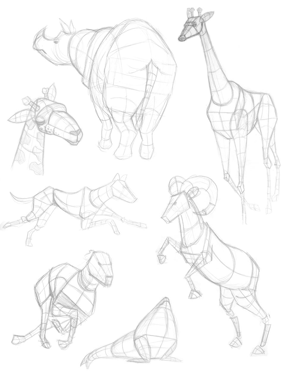 AnimalDrawing_Forms.jpg