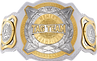 wwe_women_s_tag_team_championship_png_render_by_skyhighrollins_dcx4p4c-fullview.png