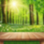 wood in spring celestial feel.jpg