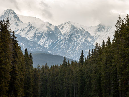 On the road to Western Canada - Montreal to Tofino
