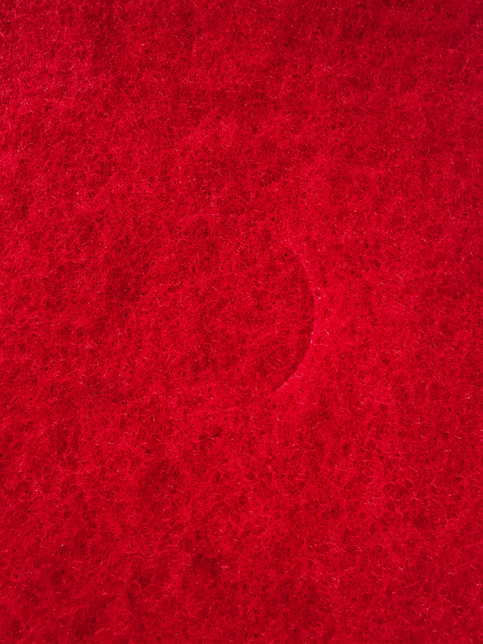 Miniatura: DISCO ROJO 19" ECONÓMICO 