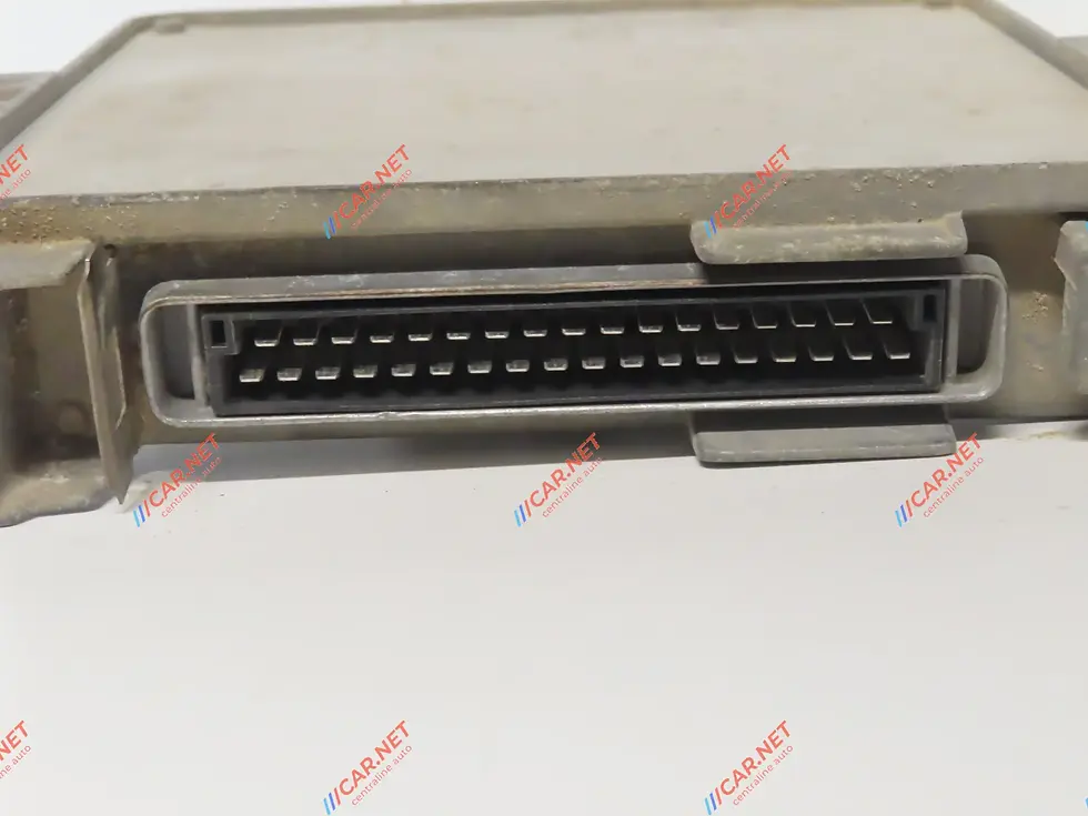 Miniatura: 21649273-0