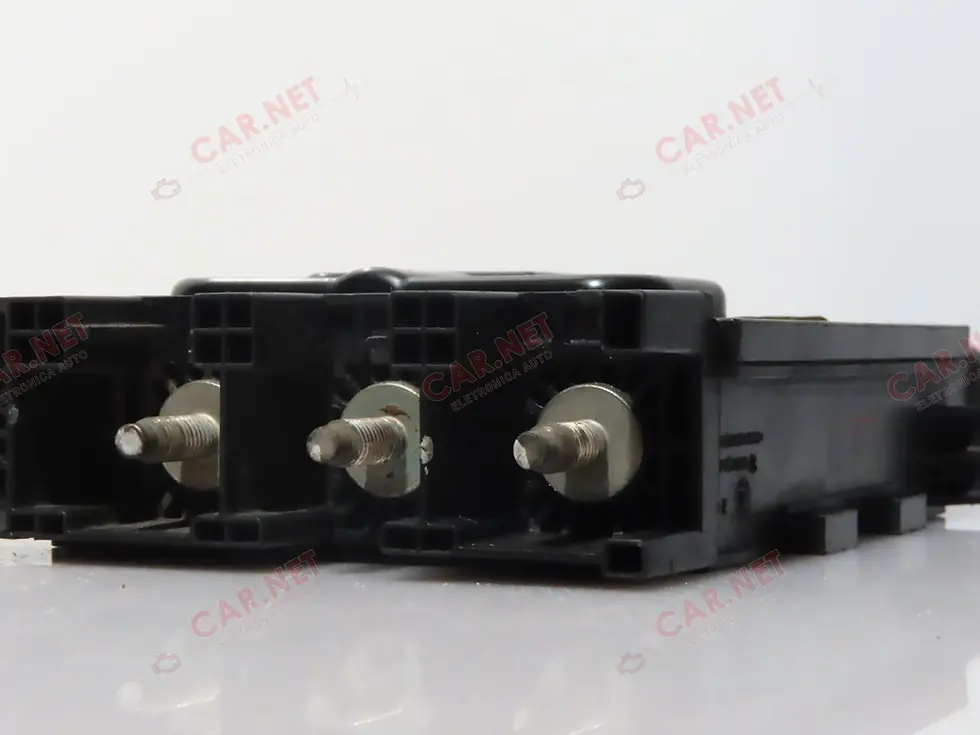 Miniatura: 243800011R