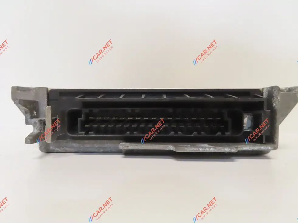 Miniatura: IAW 8P.11