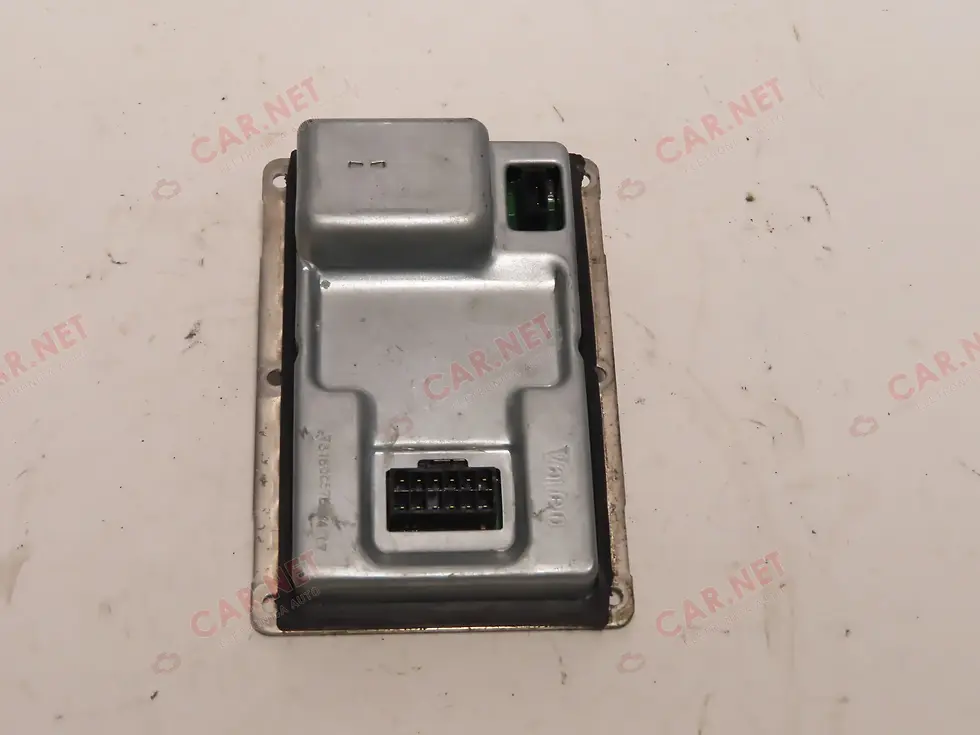 Miniature : 73010137N