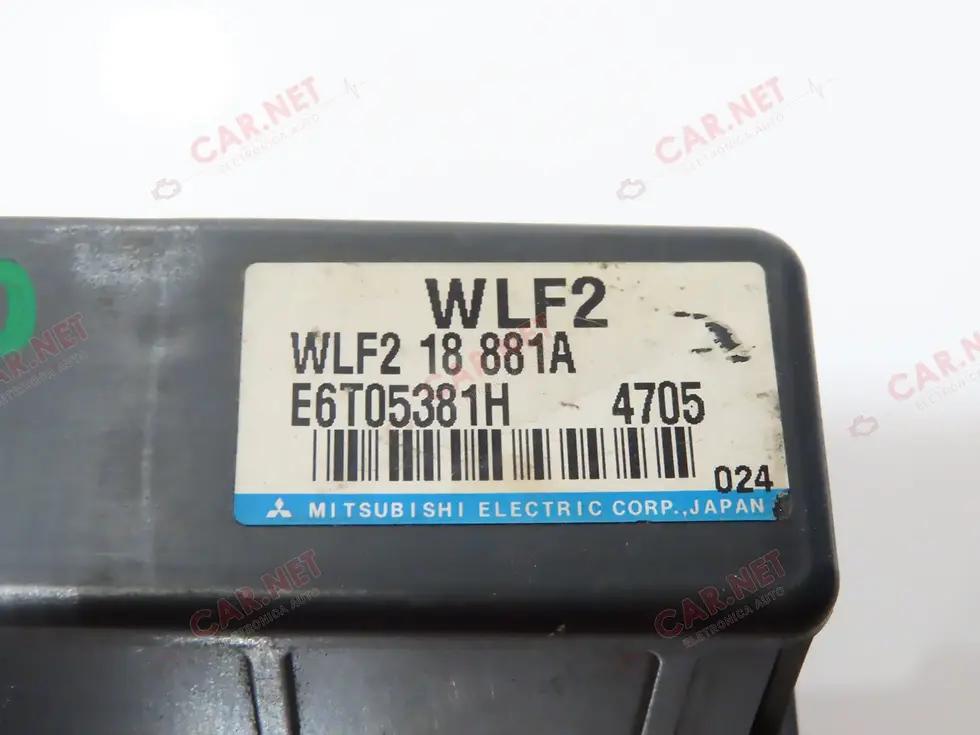 WLF218881A