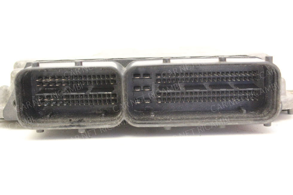 Miniatura: 51833924
