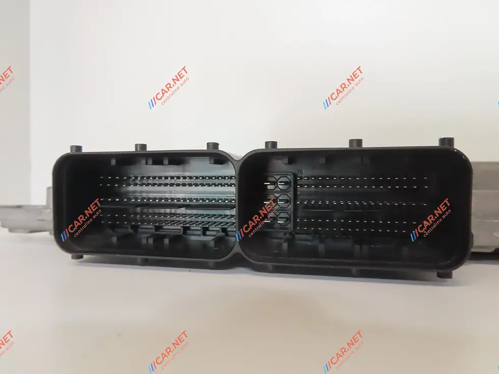 Miniatura: 50559852