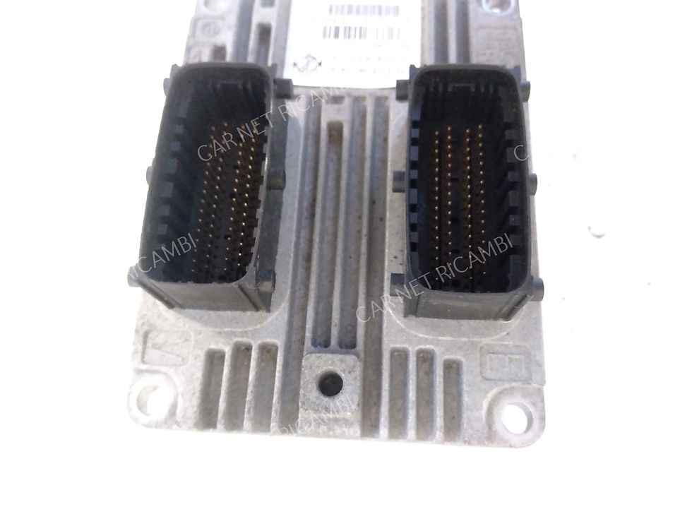 Miniatura: 51899838