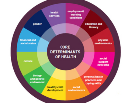 Social Determinants of Health 