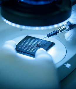 Electronic Chip