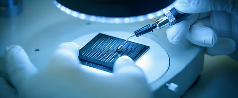 Electronic Chip