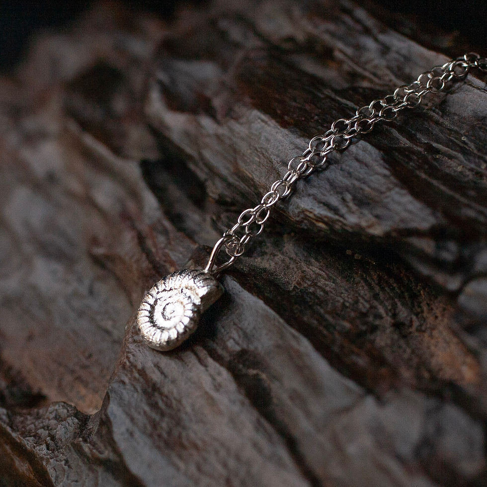 Thumbnail: Pendant necklace with silver cast of ammonite found on the Jurassic Coast at Lyme Regis