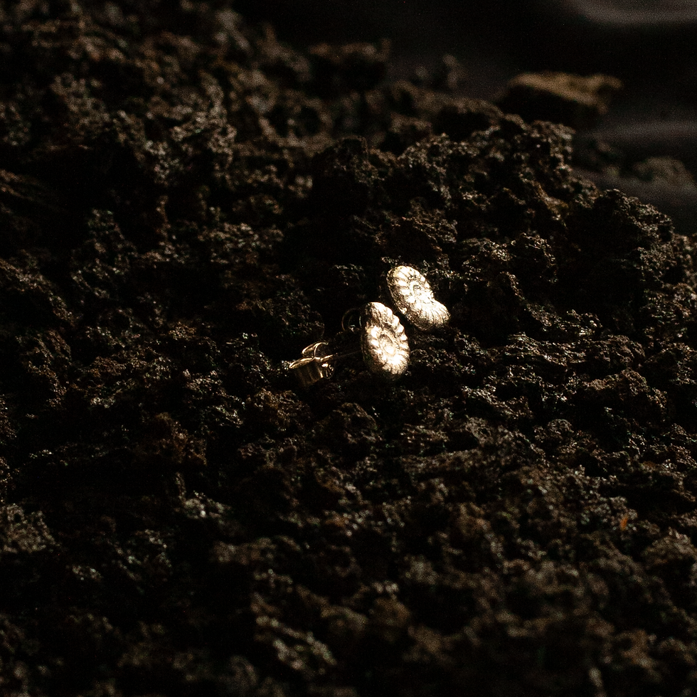 Thumbnail: light shining on handmade casted ammonite studs