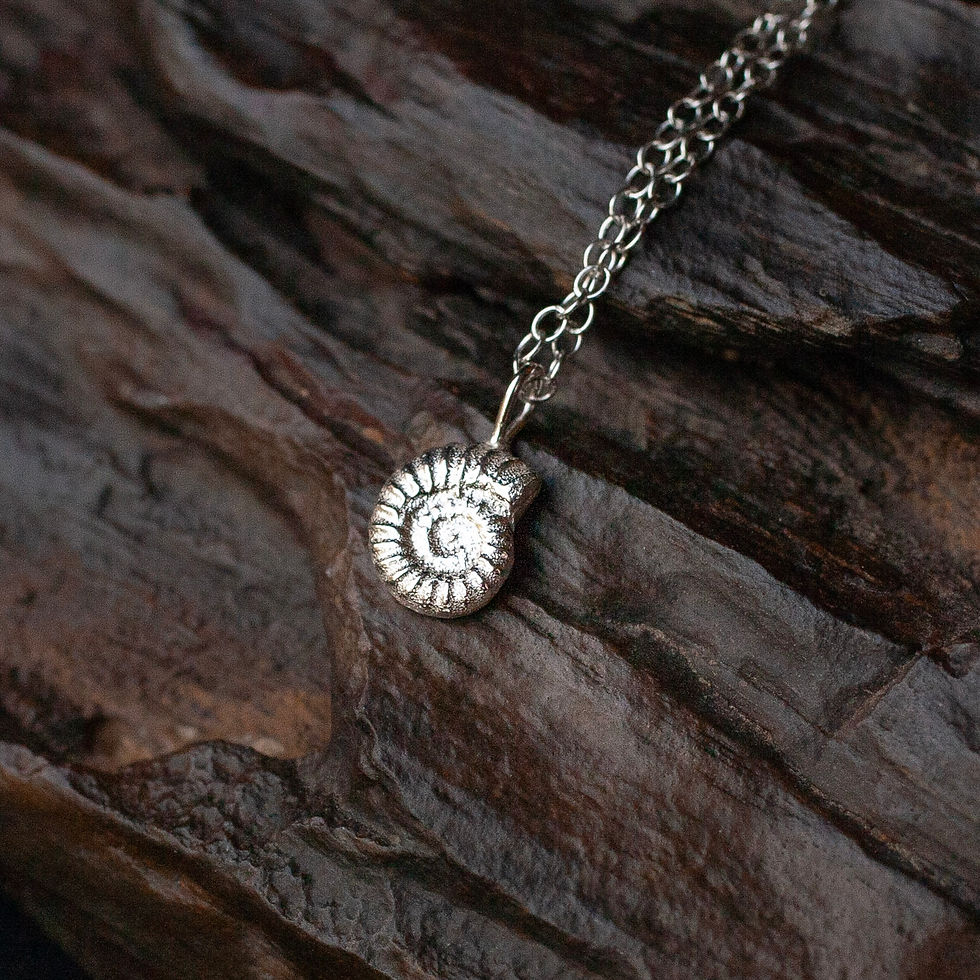 Thumbnail: Handcrafted silver ammonite necklace