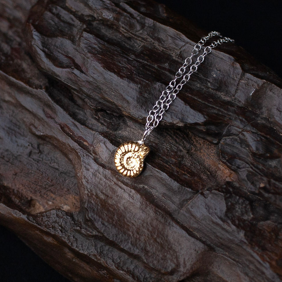 Golden ammonite pendant on silver chain handmade