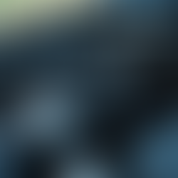 Explore Our Blog Topics on Car Repairs