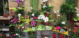 fototienda_9.jpg