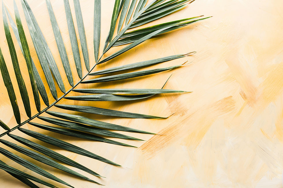 Morning Service: Palm Sunday