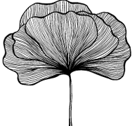 ginko 1.png