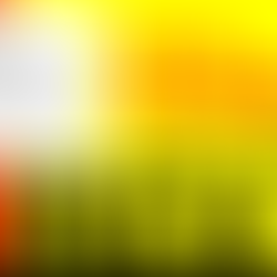 Pré-Aviso de Greve 11 e 12 de dezembro