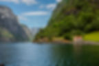 Fjordsafari-DSC_1093web.JPG