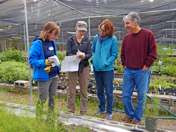 2017 Spring Plant Sale: Over 2,400 plants!