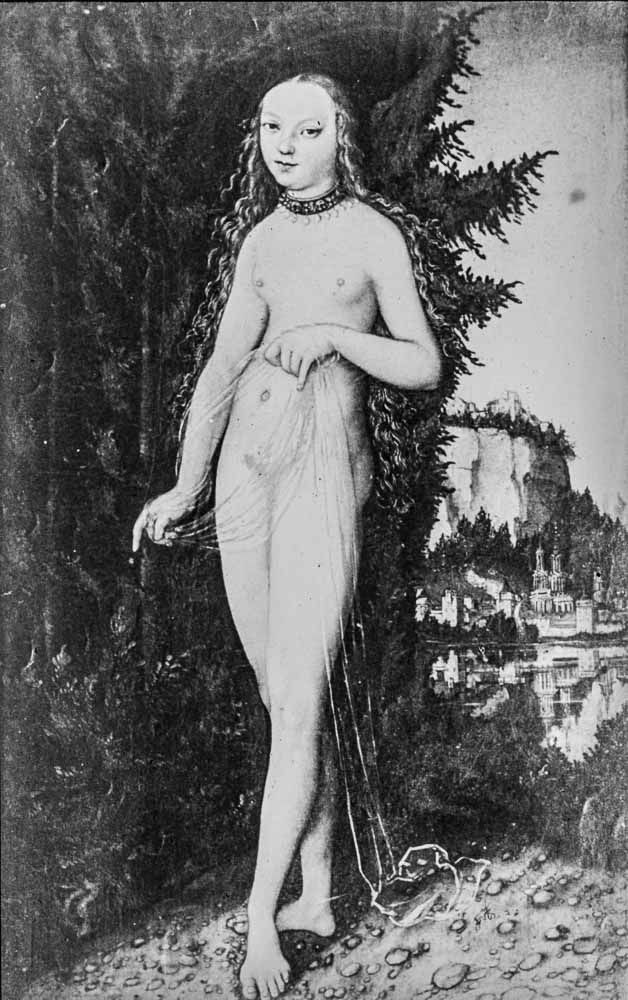 cranach l venus