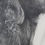 Thumbnail: Donald Laxina artist signature