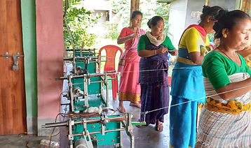 Promotion of sericulture and silk production_3.jpeg