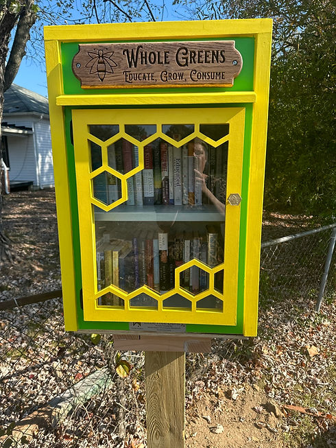 Library 1.JPEG