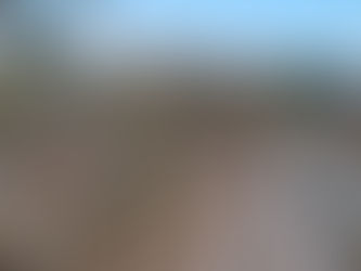 Apoyamos la campaña 'Cultivemos solidaridad' para ayudar a producciones agrícolas afectadas por la DANA