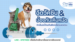 ฉีดวัคซีนและการป้องกันเห็บหมัด สำคัญกับสัตว์เลี้ยงแค่ไหน