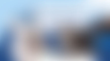 สัตว์เลี้ยงป่วย วิธีสังเกตอาการและเมื่อไหร่ควรพาไปหาสัตวแพทย์