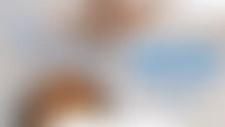 อาหารประกอบในสัตว์เลี้ยง