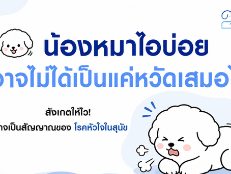 🐶💙 น้องหมาไอบ่อย อาจไม่ได้เป็นแค่หวัดเสมอไป สัญญาณโรคหัวใจที่เจ้าของไม่ควรมองข้าม
