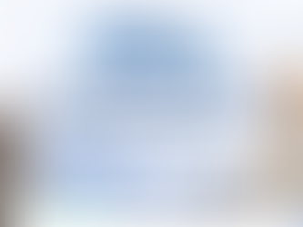 หมาคอร์กี้และแมวสก็อตติสสีเทา